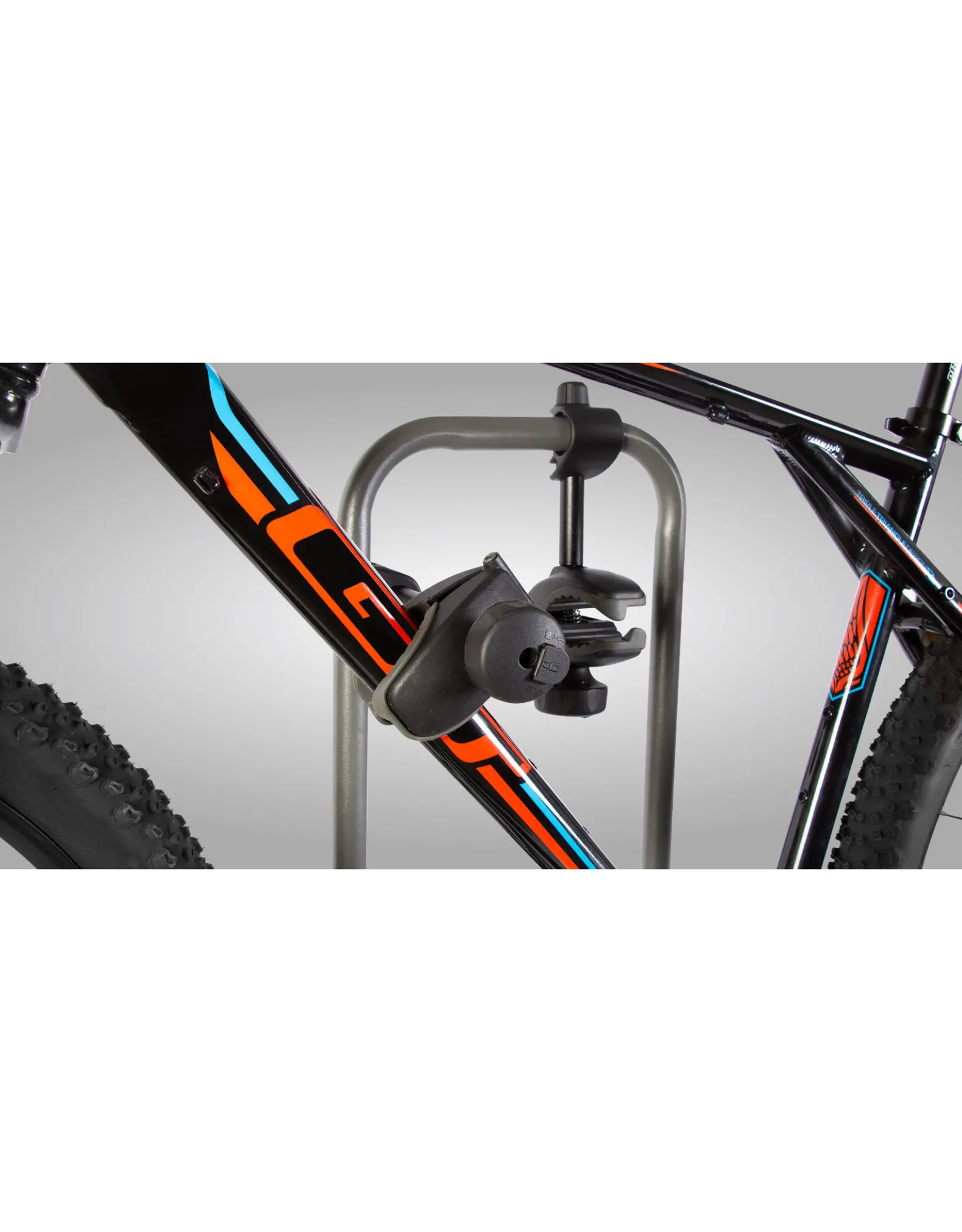 Buzz Rack E-HORNET H2 (2 Vélos Électriques)